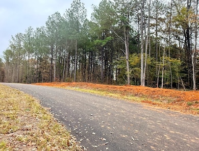 Lot 27 Rolling Meadows Way, Waverly Hall, GA 31831 - photo 6