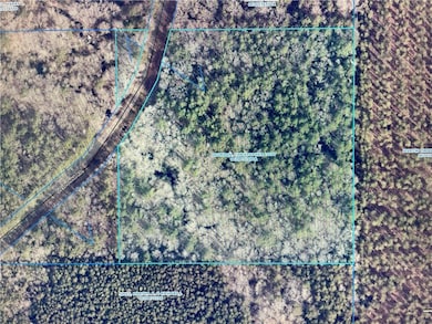 TBD Goldonna Rd, Gorum, LA 71031 - photo 6