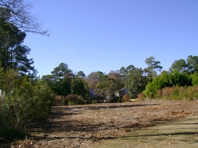 1215 Sea Palms West Dr, St. Simons Island, GA 31522 - photo 2