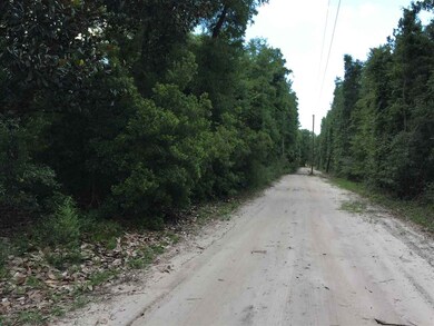 0 Whippoorwill Ln unit 296266, Crawfordville, FL 32327 - photo 2