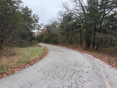 136 Lots Turkey Mountain Estates, Shell Knob, MO 65747 - photo 2