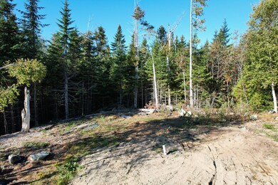 Lot 25 H Boot Cove Rd, Lubec, ME 04652 - photo 6
