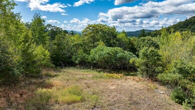 TBD Youngs Rd, Eaton, NH 03849 - photo 6