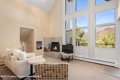 800 S Mill St unit 301, Aspen, CO 81611 - photo 4