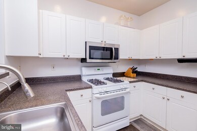 11373 Aristotle Dr unit 9-209, Fairfax, VA 22030 - photo 5