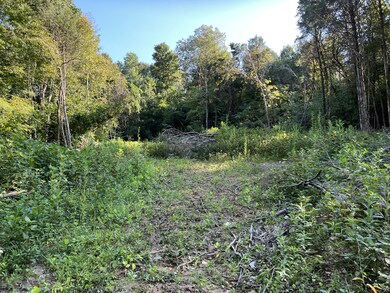 Semi-cleared path. Walkable incline from entrance up to build site. You can also drive up in a truck or 4WD vehicle, just be mindful of downed trees.