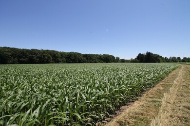 4925 Sawyer Rd, Sawyer, MI 49125 - photo 3