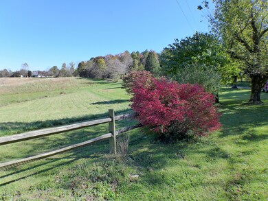 P1040306