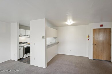 Hommati.com-9710_Morningside_Loop_AK-09-