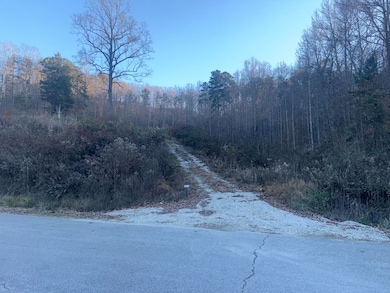 3515 Ky 1232, Gray, KY 40734 - photo 2