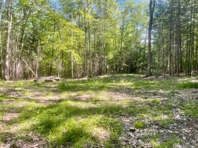 00 Under the Mountain Rd, Lyman, NH 03585 - photo 6