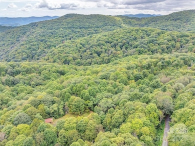 7130 Max Patch Rd, Hot Springs, NC 28743 - photo 6