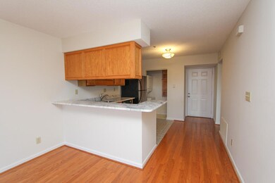 Kitchen view 1
