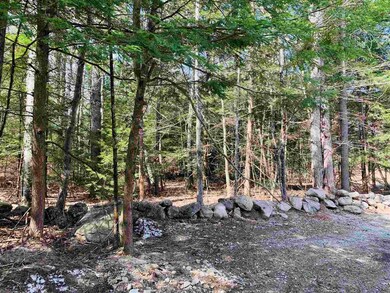Lot 173 Dix St, Bridgewater, NH 03222 - photo 7