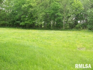 1813 W Chestnut St, Harrisburg, IL 62946 - photo 2