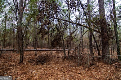 0 Salem Rd unit 10453687, Pine Mountain, GA 31822 - photo 5