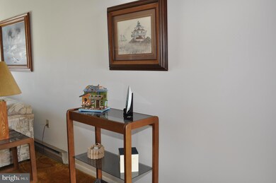 2818 Plover Dr unit 10A1, Ocean City, MD 21842 - photo 6