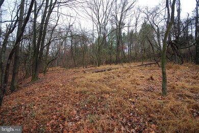 Lot 29 & 30 Staubwoods Dr, Romney, WV 26757 - photo 7