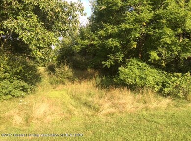6040 beard trail