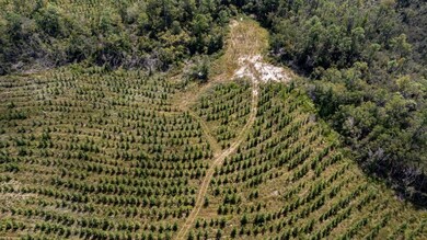 XX1 Highway 177a, Bonifay, FL 32425 - photo 7