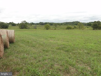 LOT 17 Greenwood Farm Ln, Blue Ridge, VA 20132 - photo 4