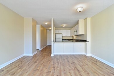 405 N Wabash Ave unit 901, Chicago, IL 60611 - photo 3