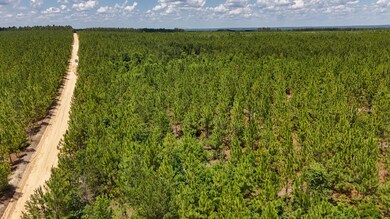 0 Beaver Dam Rd unit 25030820, Cassatt, SC 29032 - photo 2