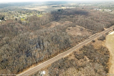 00 Griswold Rd, Smiths Creek, MI 48074 - photo 3