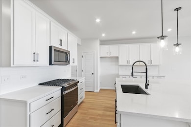 688 Switchgrass Way unit 57003, Bolingbrook, IL 60490 - photo 5