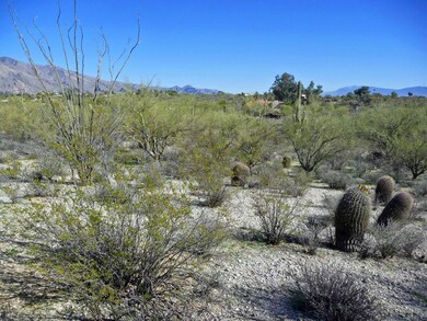 0 N Campbell Ave unit 21400292, Tucson, AZ 85718 - photo 5