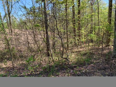 0 Frost Creek Dr, Crossville, TN 38571 - photo 4