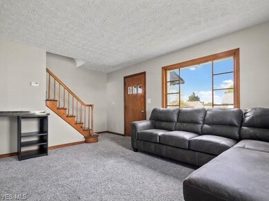 264 Overlook Blvd, Struthers, OH 44471 - photo 6