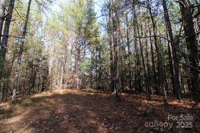 6+/-AC Bookout Rd, Rock Hill, SC 29730 - photo 6