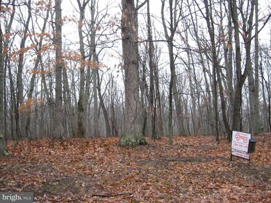 9 Deerwood Ln, Berkeley Springs, WV 25411 - photo 6