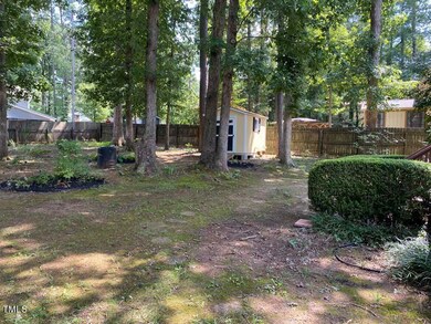 3 Backyard