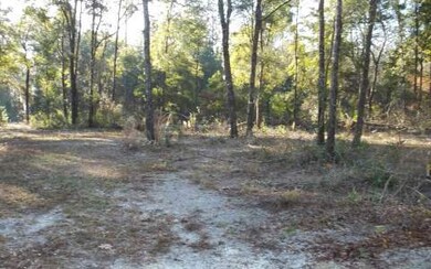 4151 288th St, Branford, FL 32008 - photo 4