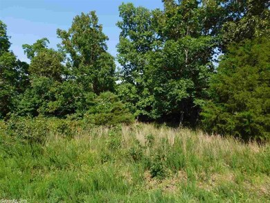 0 Woods Point Rd, Union Township, AR 72531 - photo 3