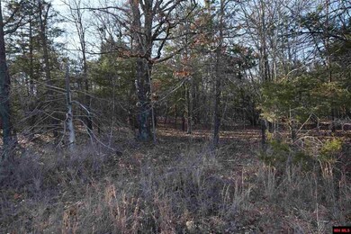 Interior lot has ability to purchase
