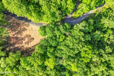 Lot 27 Sugar Maple Loop Rd, Sevierville, TN 37862 - photo 5