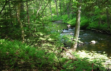 Picture china Maine 3