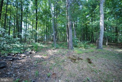 197 Dooley Dr, Basye-Bryce Mountain, VA 22810 - photo 5