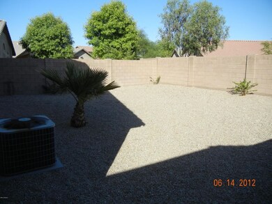 back yard 2