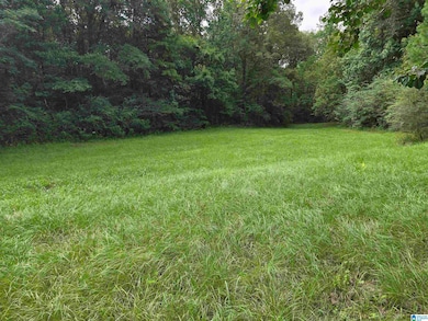 19439 Alabama 22, Rockford, AL 35136 - photo 7