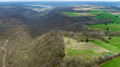 XXXX County 26, Money Creek Township, MN 55943 - photo 6