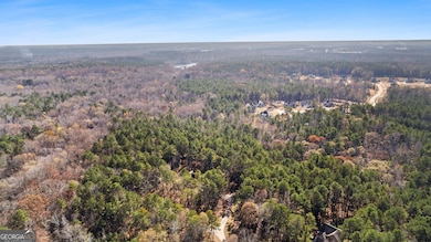 75 Homer Johnson Rd, Newnan, GA 30265 - photo 5