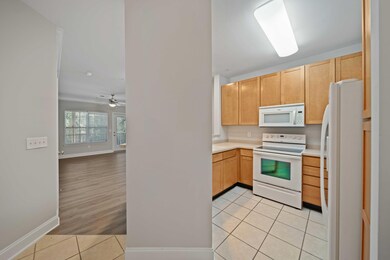 1012Basildon_NickCannPhoto-12