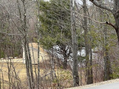 Map 36 Lot 72 A Varney Rd, Barnstead, NH 03225 - photo 5