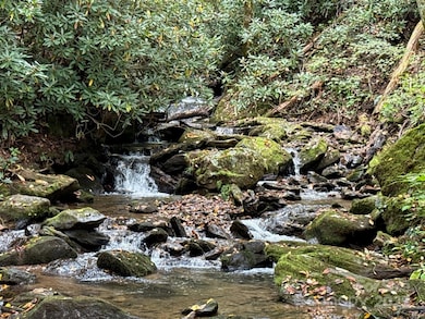 226 Wildcat Mountain Trail, Sylva, NC 28779 - photo 5