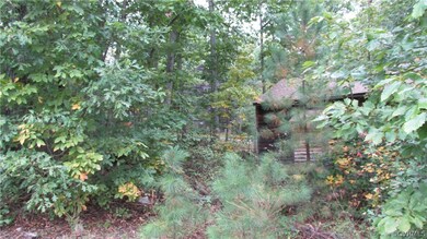 16421 Hull Street Rd, Moseley, VA 23120 - photo 7