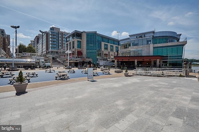 The Haven unit 515, National Harbor, MD 20745 - photo 5